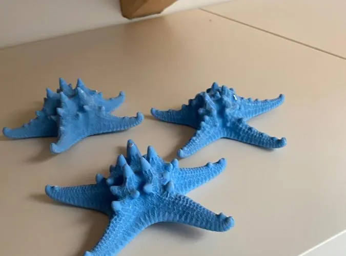 Daire Cascina Jesolana